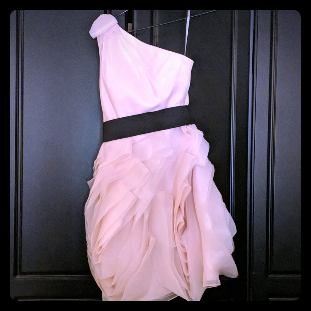 Vera Wang Pink Dress